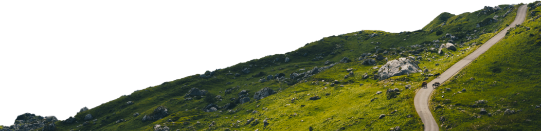 Failed to Display Image