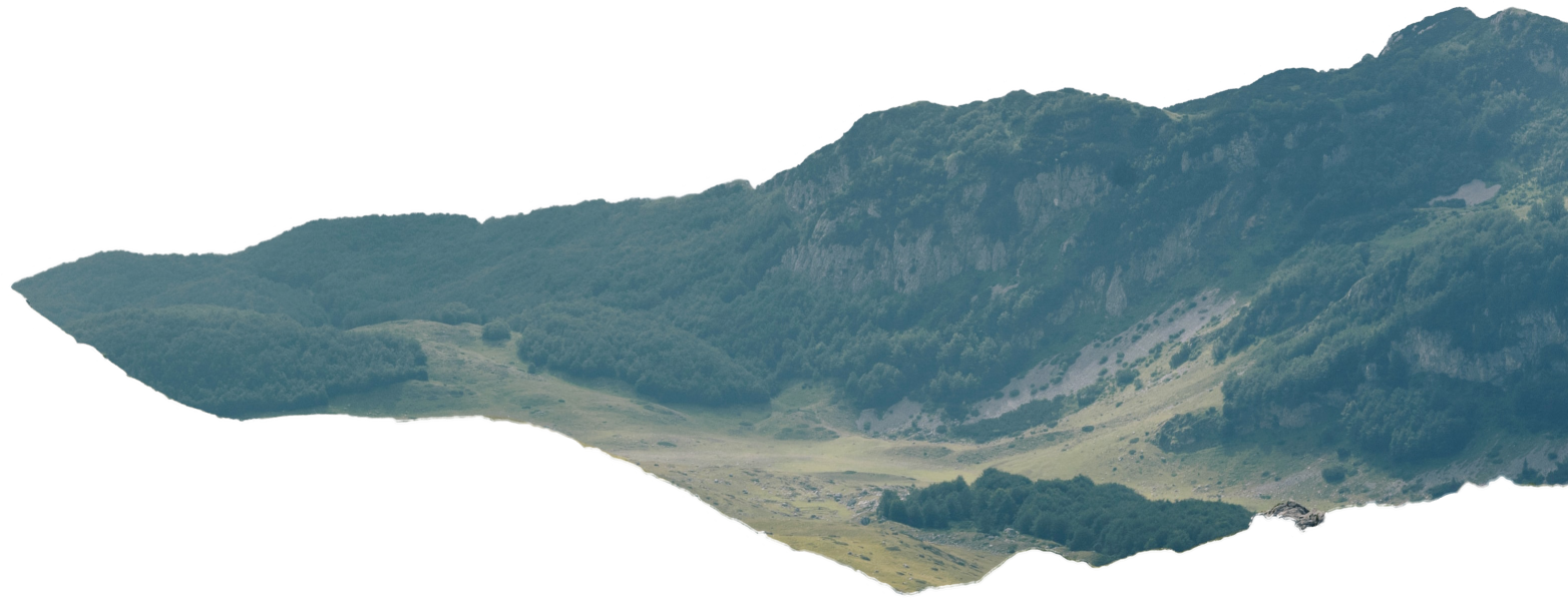 Failed to Display Image